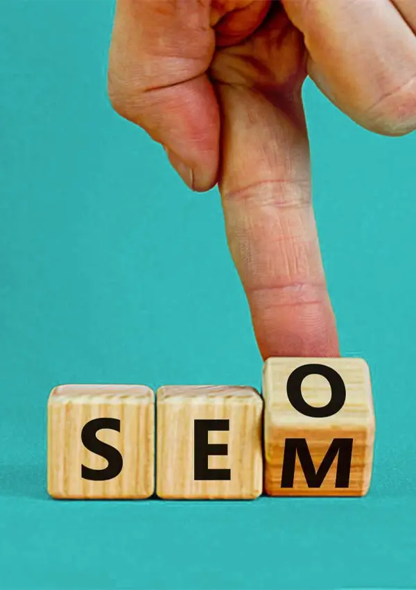 Wayni, SEO vs SEM